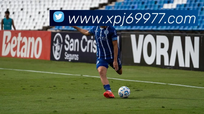 新葡京娱乐平台生态图